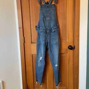 Indigo Blue Maternity Overalls